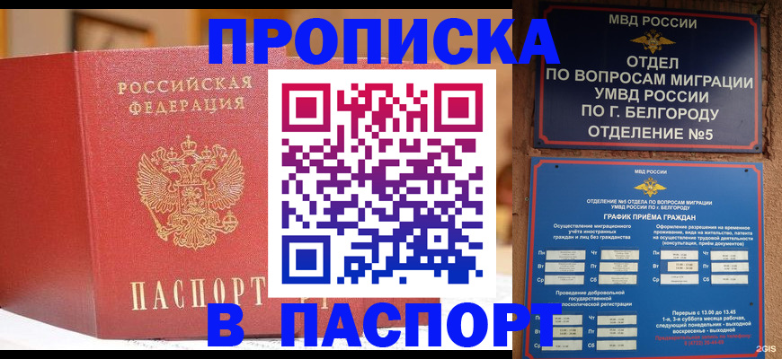 временная регистрация в квартире в Михайловке